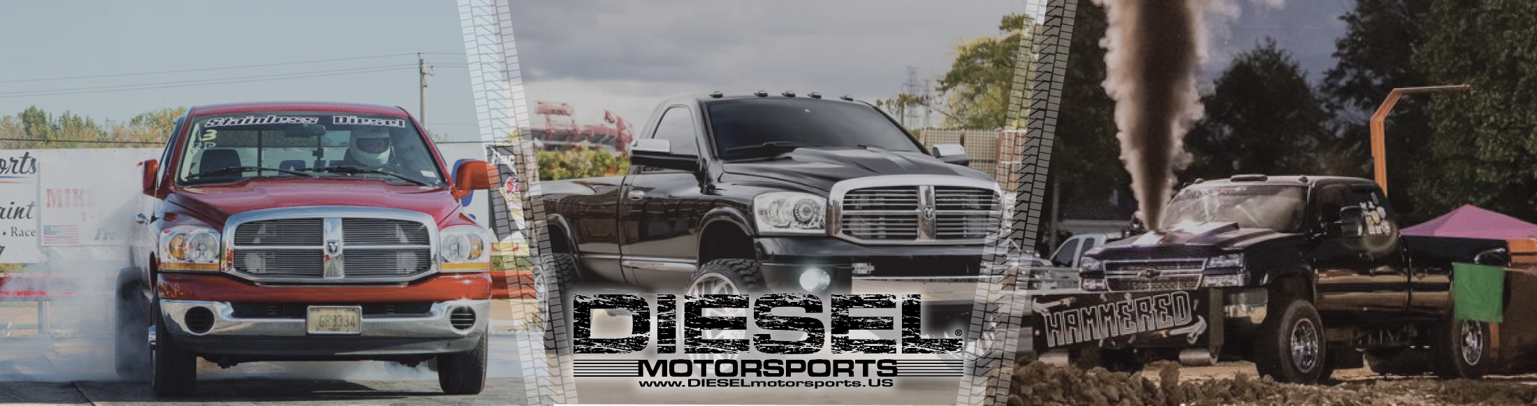 Diesel Motorsports. www.dieselmotorsports.us