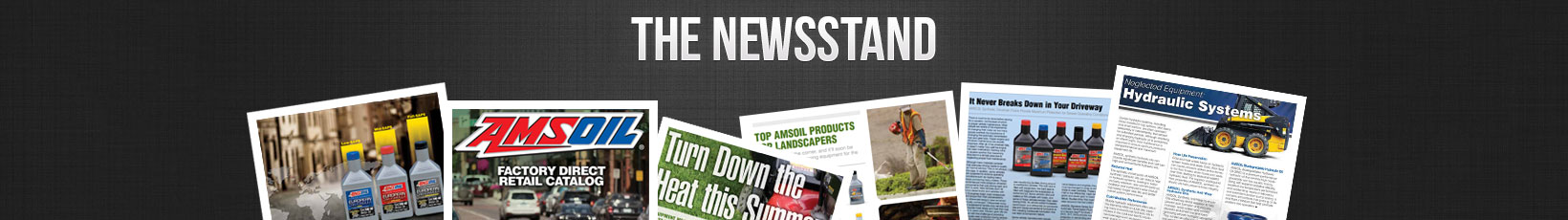 Newsletter Logo Logo
